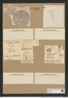 Asteromphalus arachne (Breb.) Ralfs. (de-Toni-Nr.: Genus 236, Species 5702) Zeichnungen Sammlung Grunow Nr. 9709 (NHMW-BOT-W0379651)